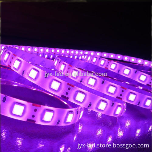 Electric smd 5050 5m 300leds 60led/m 12v 14.4w dmx rgb led strip light big tube Multi Color Led Light With Remote Controller